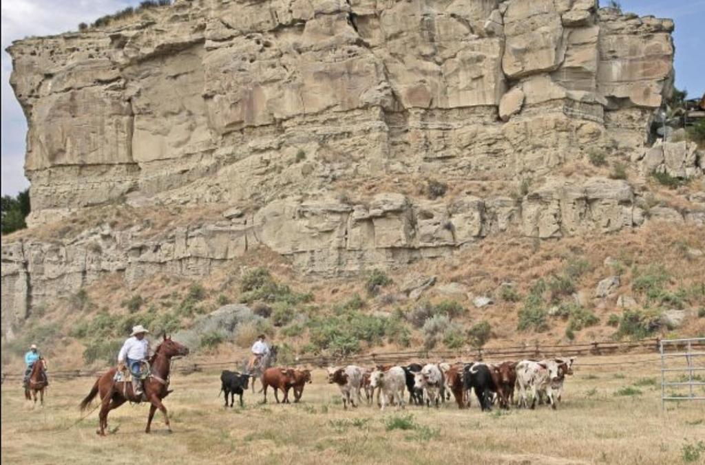 Montana Inn Near Little Big Horn Battlefield-Pompey Piller-Colstrip Forsyth エクステリア 写真